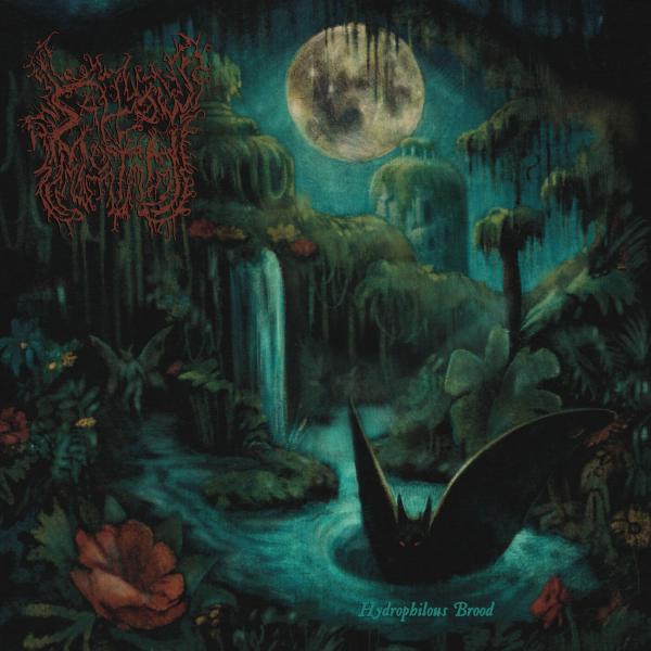 Sallow Moth - Discography (2016 - 2026)