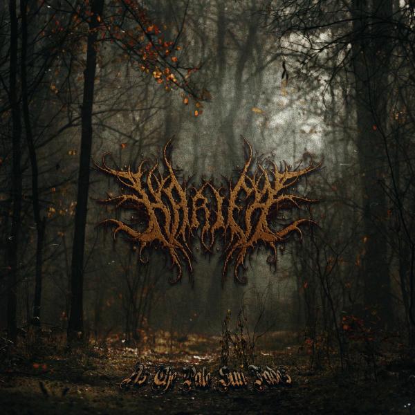 Harifa - As The Pale Sun Fades