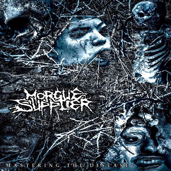 Morgue Supplier - Mastering the Disease