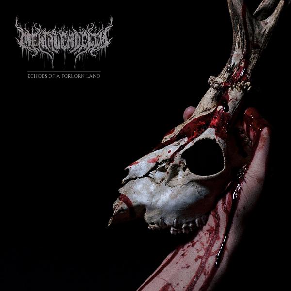 Mental Cruelty - Echoes Of A Forlorn Land (Lossless)