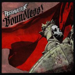 Assaulter - Discography (2008 - 2011)