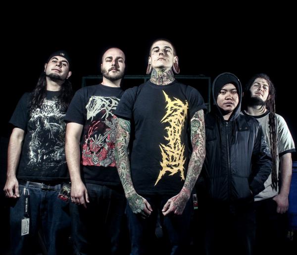 Suffokate - Discography (2008-2011)