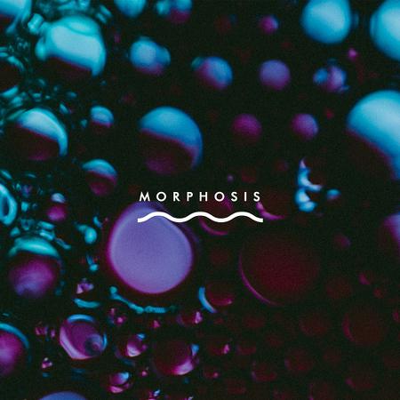 These Are My Tombs - Morphosis