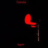 Page14  -  Fornix
