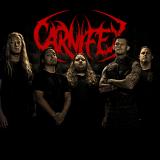 Carnifex - Discography (2005 - 2021)