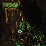 Dridge - Curing