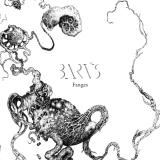 Barús - Fanges (EP)