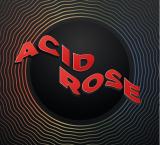 Acid Rose - Discography (2021) (Lossless)