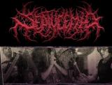 Septycemia - Discography (2018 - 2021)