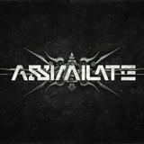 Assimilate - Discography (2014 - 2017)