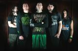 Suffocate - Discography (2004 - 2011)