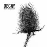 Decay - What's Introspection?