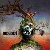 anasazi - cause &amp; consequences