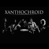 Xanthochroid - Discography (2011-2012) (lossless)