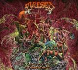 Avulsed - Night Of The Living Deathgenerations (DVD)