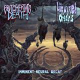 Butchering Death &amp; Liquified Organs - Imminent Neural Decay (Split) (Lossless)