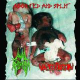 Anal Abortion - Aborted And Split (Split) (Lossless)
