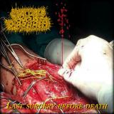 Swallow Mucus Diarrhea - Last Surgery Before Death (EP) (Lossless)