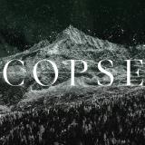 Copse - MMXXIV (Compilation)