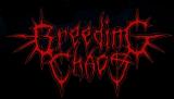 Breeding Chaos - Discography (2023 - 2024) (Upconvert)