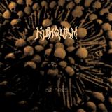 Numquam - Old Curses (Upconvert)