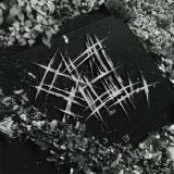 Sigil - Discography (2024)