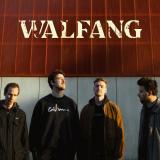 Walfang - Discography (2021 - 2024) (Lossless)