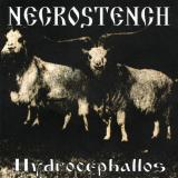 Necrostench - Hydrocephallos (Upconvert)