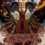 Destroyer Destroyer - Discography (2005 - 2025)