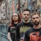 Must Kill - Discography (2020 - 2025)