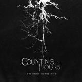 Counting Hours - Dreaming in the Mire (EP)