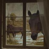 Shedfromthebody - Everything Out There Has Teeth (Upconvert)