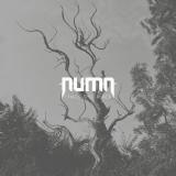 Numn - I Hate This Place