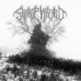 FearOfHatred - Christmas