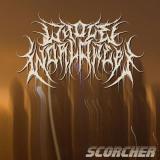 Whole World Wept - Discography (2025 - 2026)