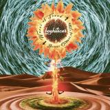 Boy Hits Car - Waves of Sound Across Oceans of Time (Lossless)