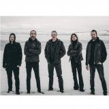 Miserate - Discography (2024 - 2025)