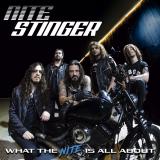 Nite Stinger - What The Nite Is All About (Lossless)