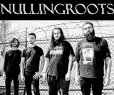 Nullingroots - Discography (2014 - 2026) (Upconvert)