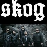 Skog - Discography (2024 - 2026)