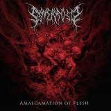 Synekrosis - Amalgamation of Flesh