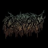 Chronicynic - Discography (2024 - 2026)