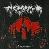 Nedgravd - Ascension (Upconvert)