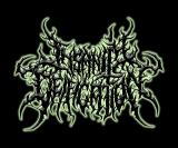 Insanity Deification - Discography (2024 - 2026)