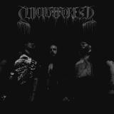 Suicide Forest - Discography (2016 - 2026)