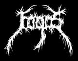 Fogos - Discography (2022 - 2026) (Upconvert) Fogos - Discography (2022 - 2026) (Upconvert)