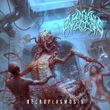Orgasmic Savage - Necroplasmosis