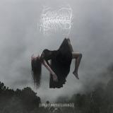 Toxocracia - Septentrional