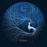 Cairiss - Wilderness (Lossless)