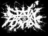 Slain From Foundation - Discography (2026)